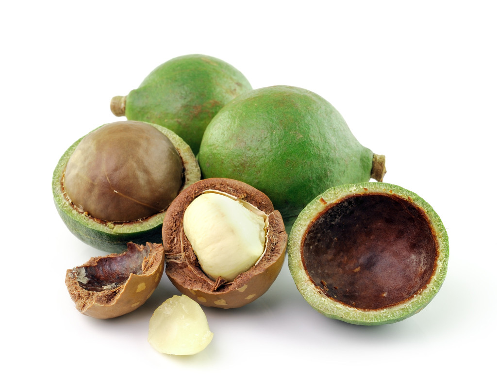 noci macadamia