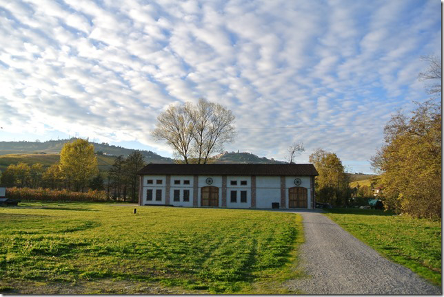 cantina francesco borgogno