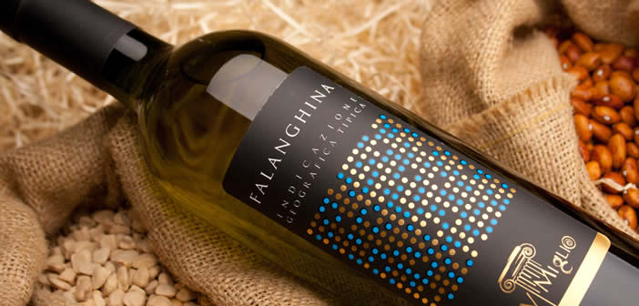 falanghina