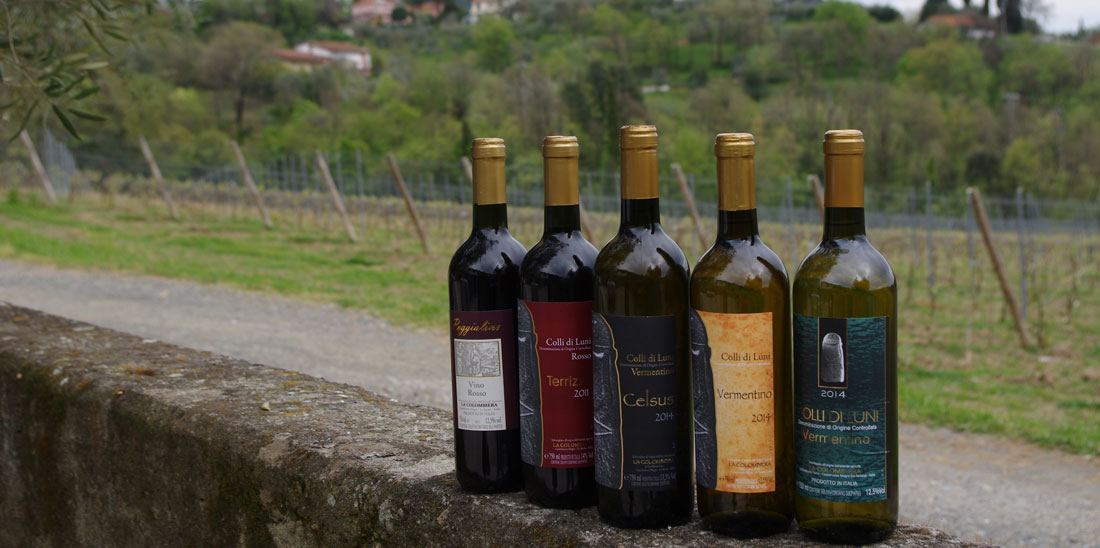 riconoscere un buon vino dalla bottiglia