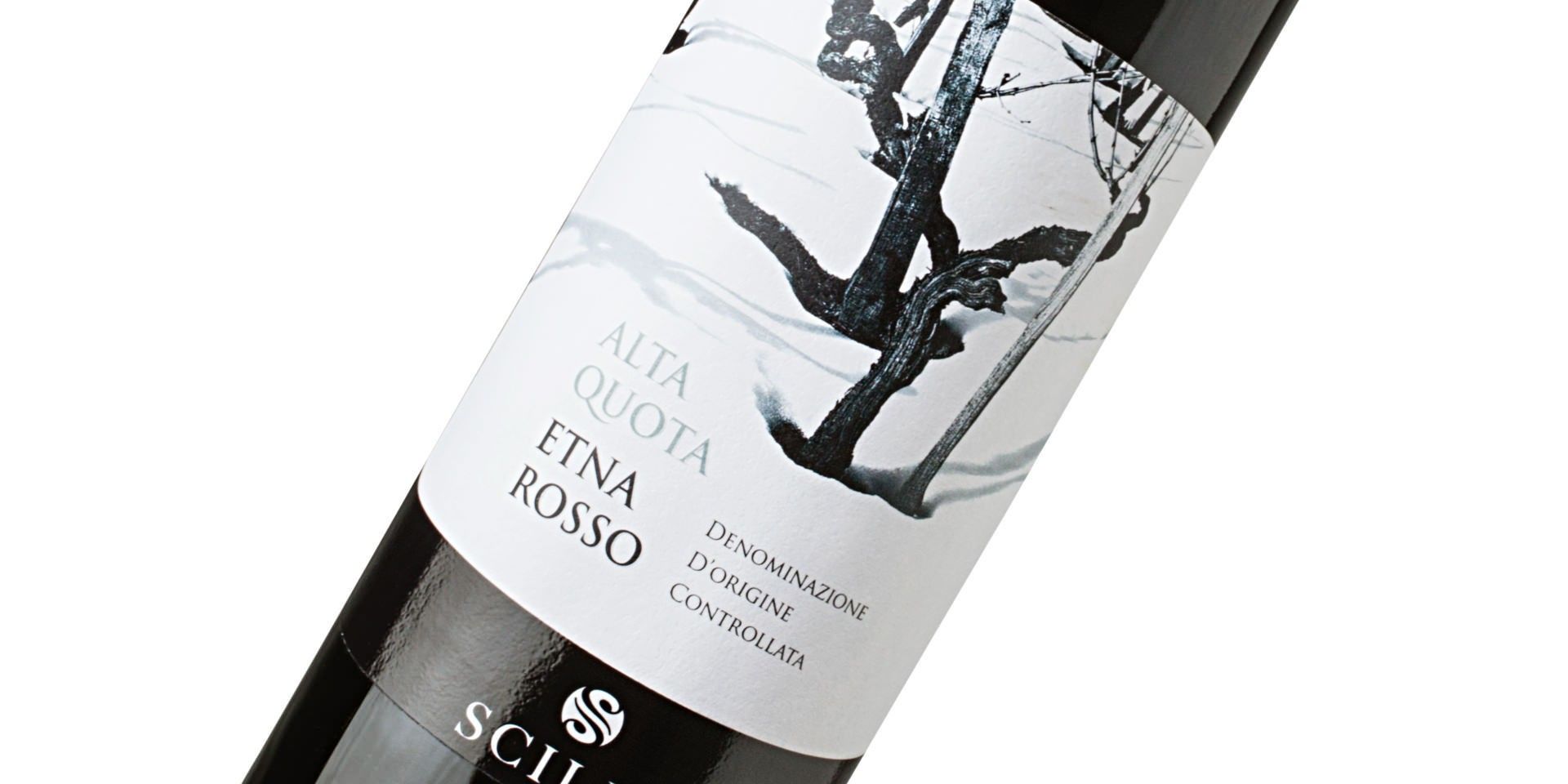 riconoscere un buon vino dall'etichetta