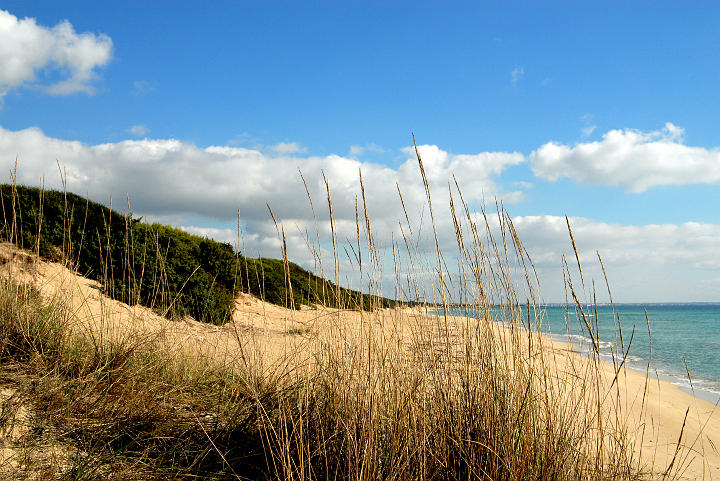 Dune di Porto Cesareo