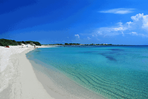 Punta Prosciutto