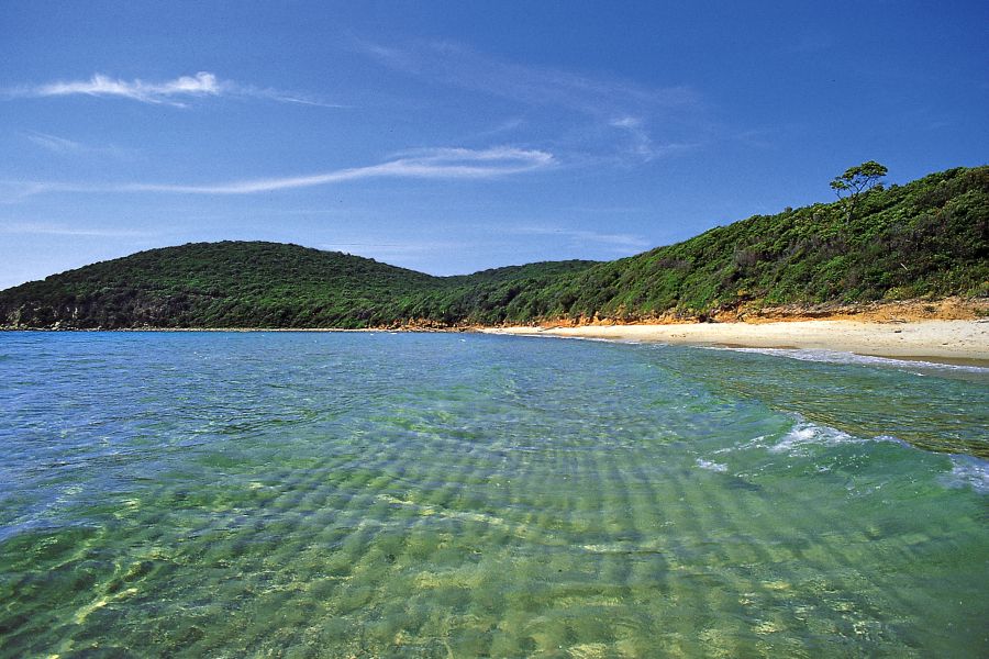 Spiaggia Scarlino