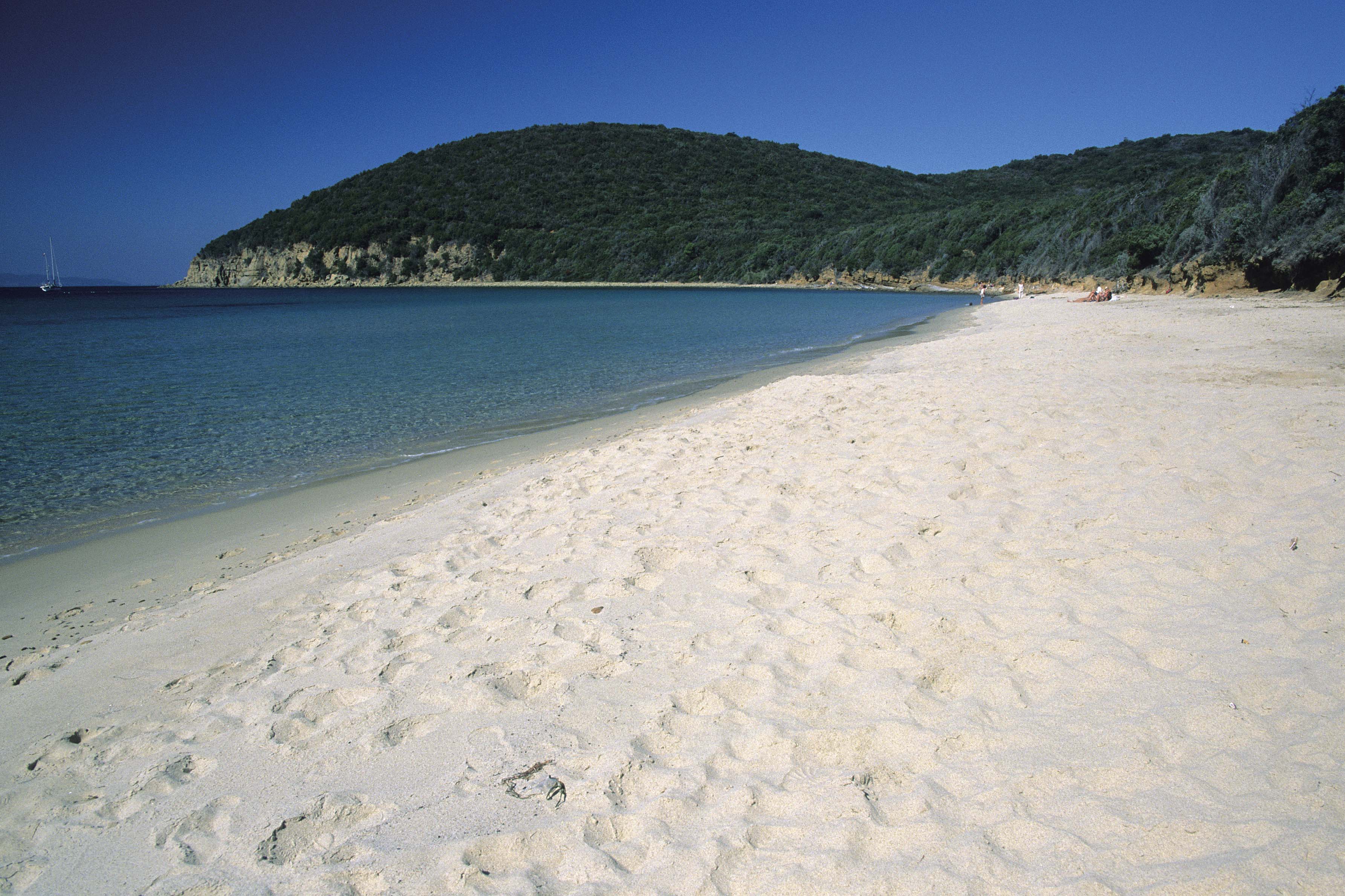 cala violina spiaggia