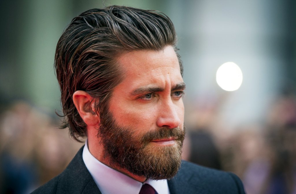 gyllenhaal jumbo