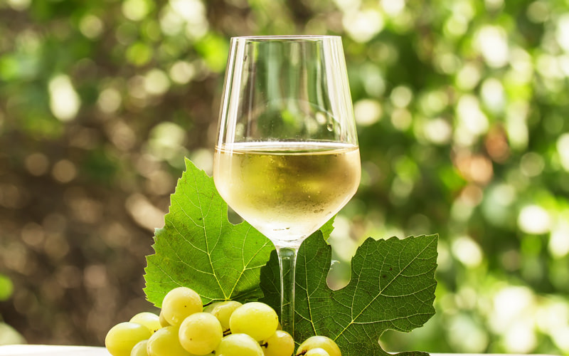 vini bianchi fruttati fermi