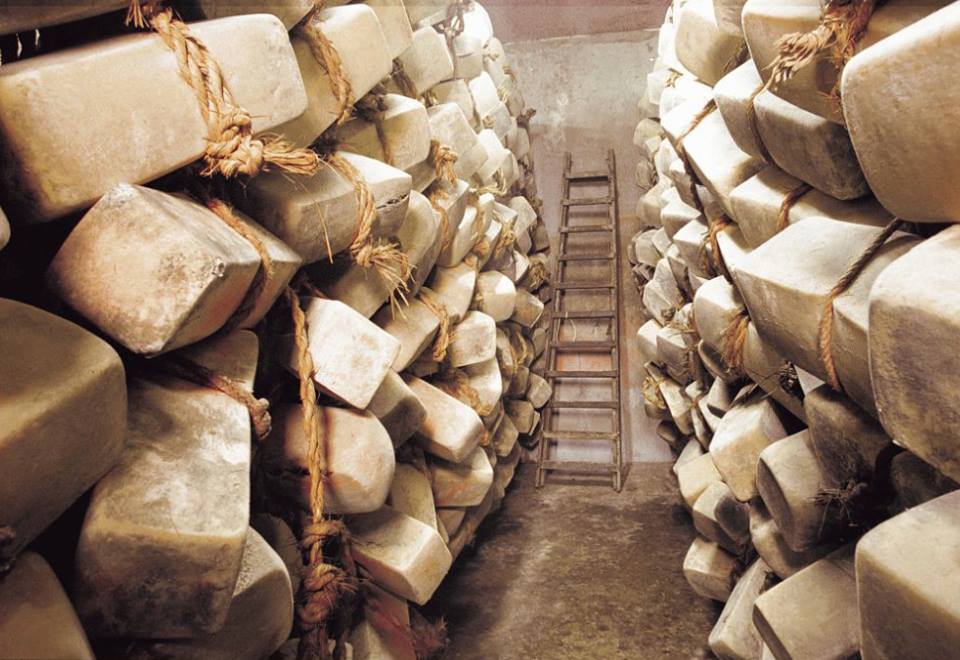 cheese 2017 il programma