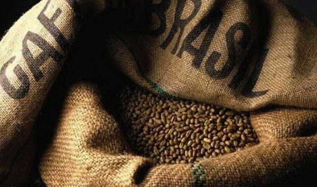 brasiliano invece il caffe della fazenda santa ines