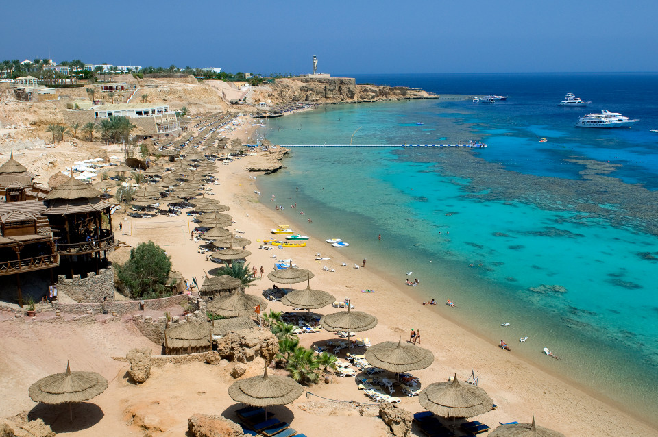 shark el sheik