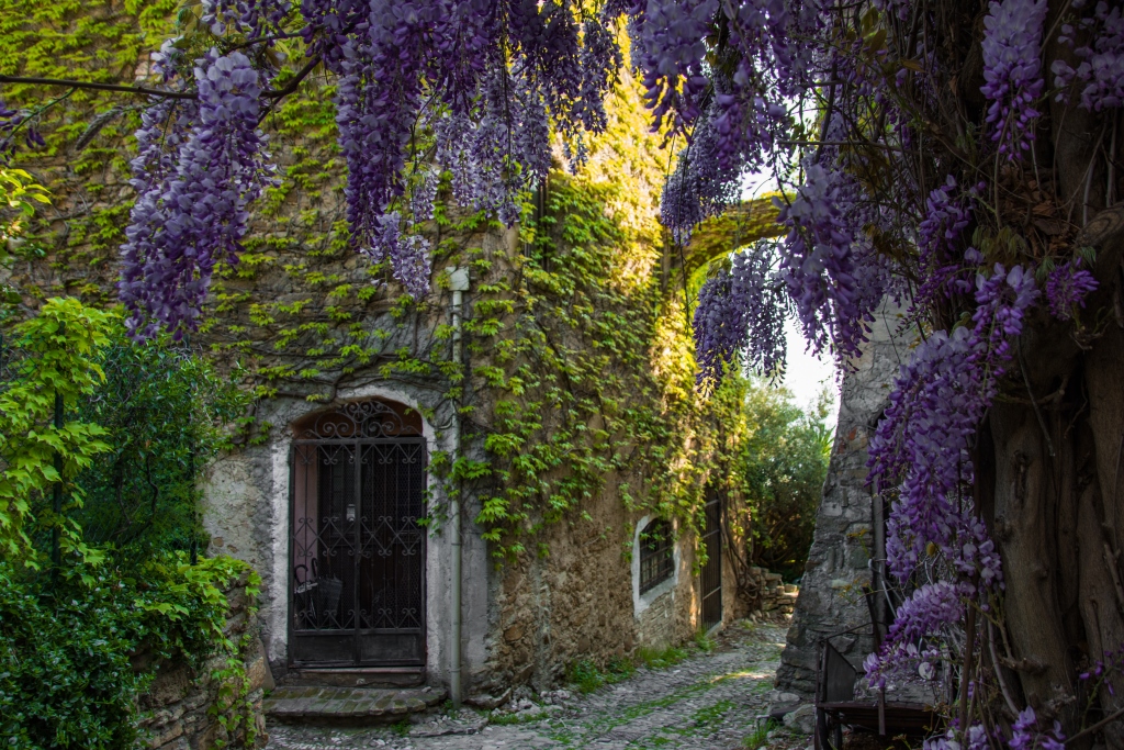 cosa vedere in italia bussana vecchia