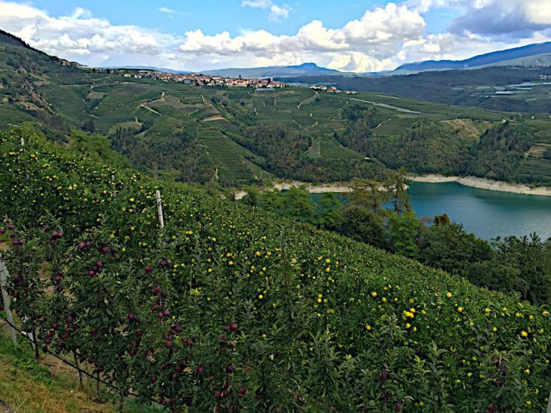 Val di Non trentino