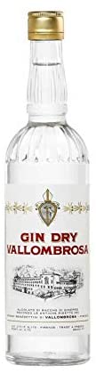 gin italiani