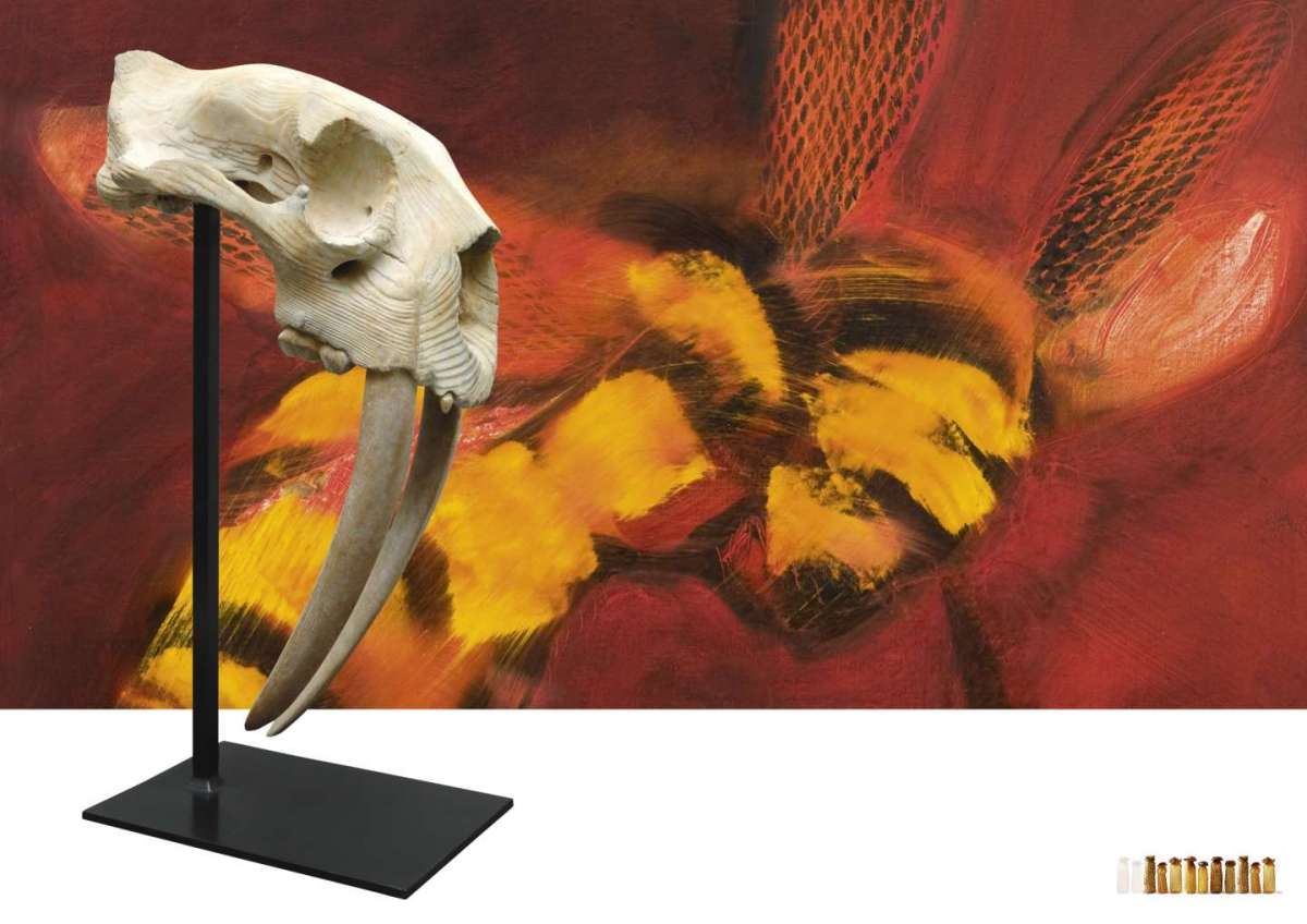 Beauty and the Beast: le opere di Judi Harvest e Quentin Garel in mostra a Palazzo Tiepolo Passi