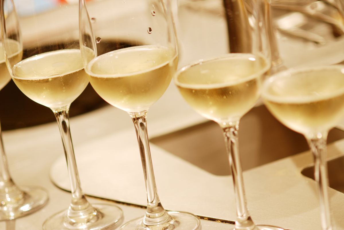 vinobiancofermo3