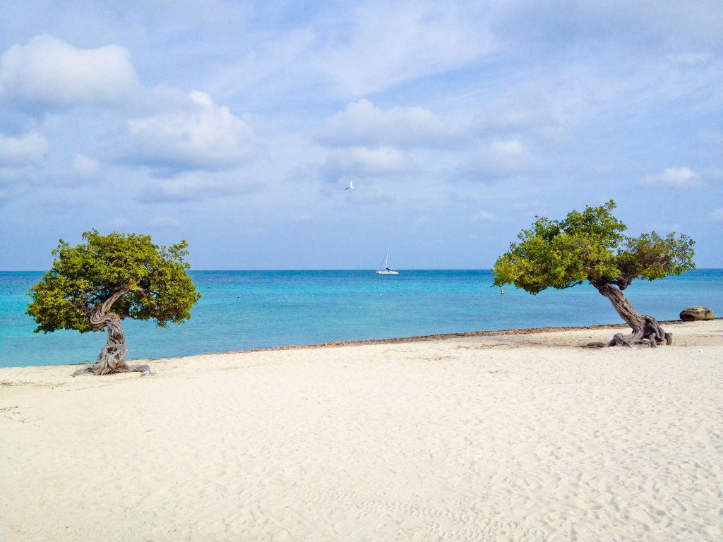 Galleria foto 'Le spiagge più belle del mondo [FOTO]' - foto 5
