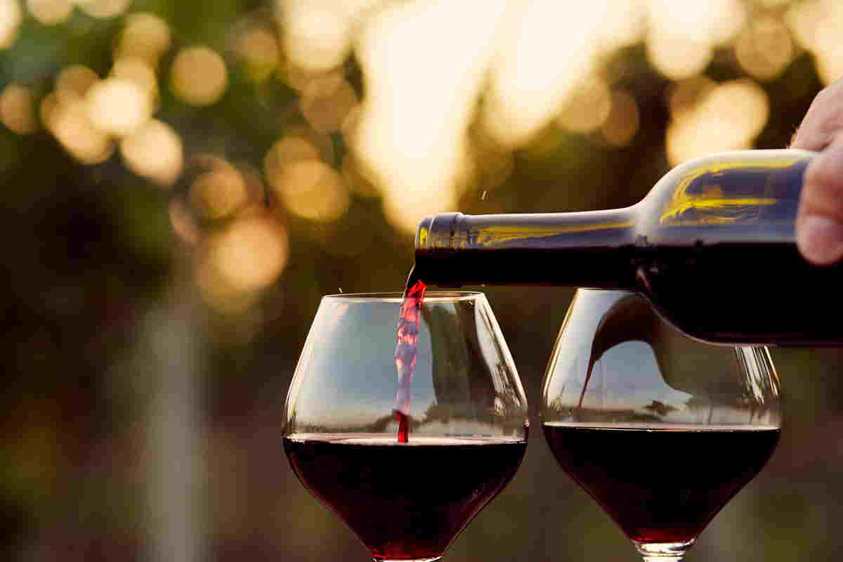 I migliori vini rossi italiani: le bottiglie da provare