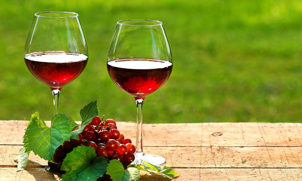 i migliori vini rossi