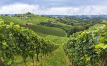 Strade del Vino in Italia: le più belle da percorrere 