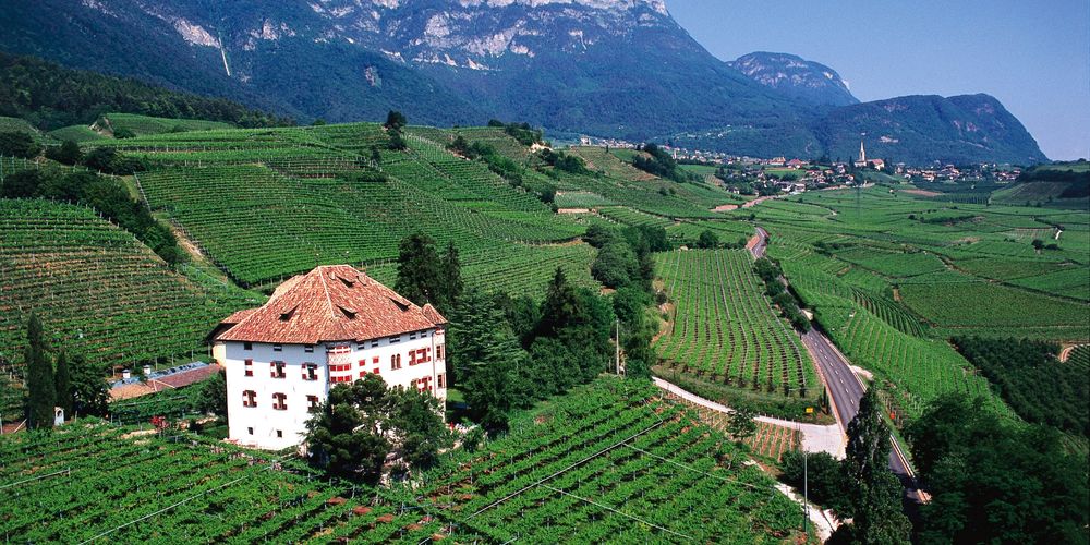 Galleria foto 'Strade del Vino in Italia: le più belle da percorrere' - foto 1