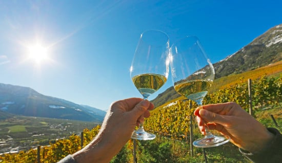 Galleria foto 'Giornate del Riesling 2017: 5 settimane dedicate alle uve più pregiate del Trentino Alto Adige' - foto 2