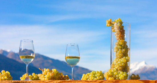 Galleria foto 'Giornate del Riesling 2017: 5 settimane dedicate alle uve più pregiate del Trentino Alto Adige' - foto 1