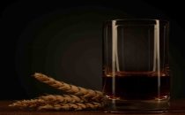 Whisky torbato: le migliori marche da conoscere