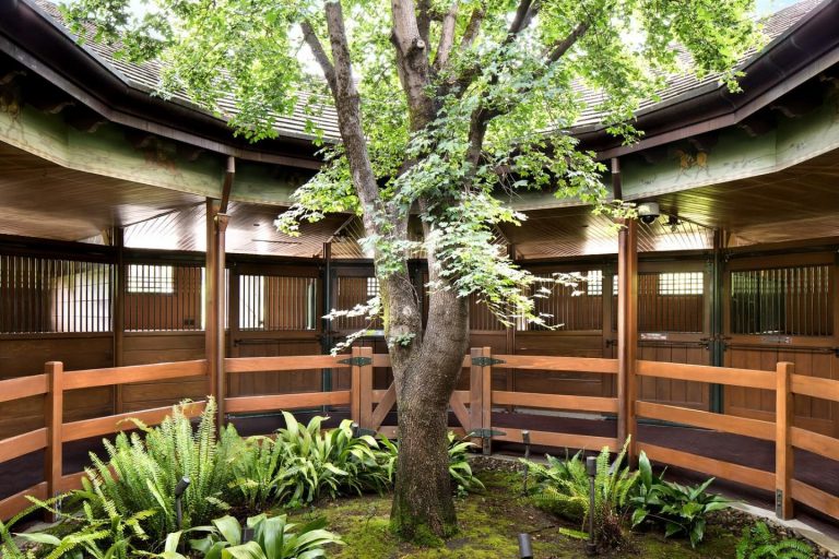 Galleria foto 'Michelle Pfeiffer vende la sua casa di Woodside per 23,9 milioni di Euro' - foto 6