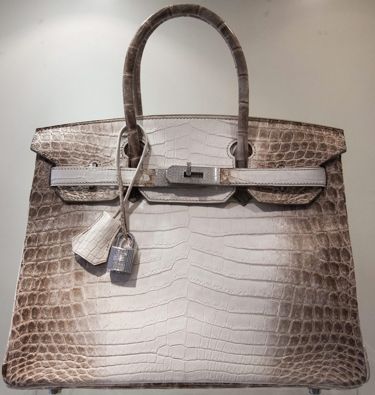 Galleria foto 'Le 10 Birkin di Hermes più costose di sempre' - foto 10