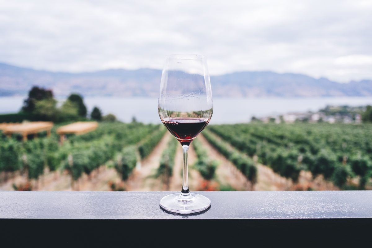Tre Bicchieri 2019: i migliori vini d’Italia premiati da Gambero Rosso
