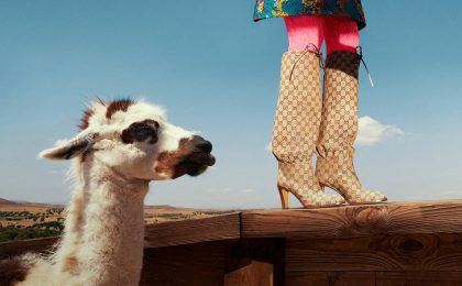 Scarpe Gucci 2018-2019: dagli stivali a mocassini e sneakers, i must have per l’inverno [FOTO]