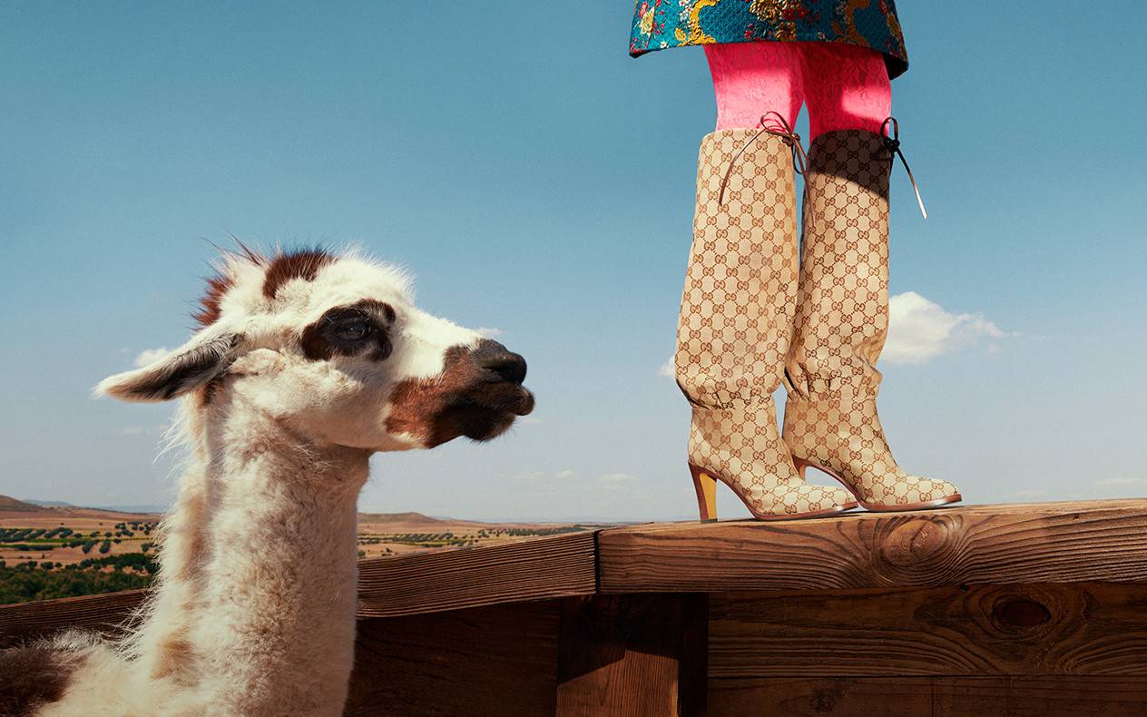 tronchetti gucci 2018