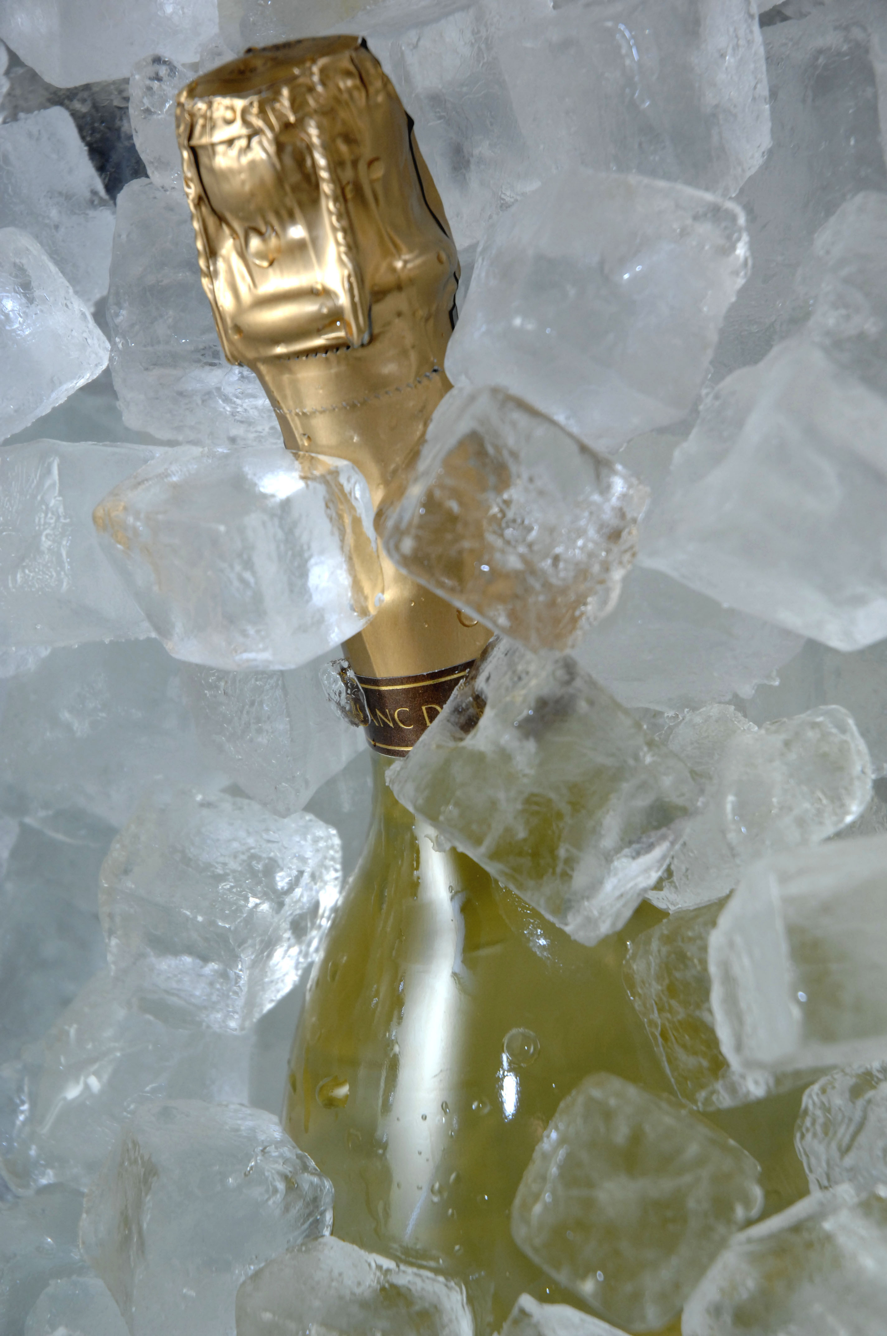 Foto: Fototeca Comité Champagne/Ufficio Stampa Bureau du Champagne, Italia