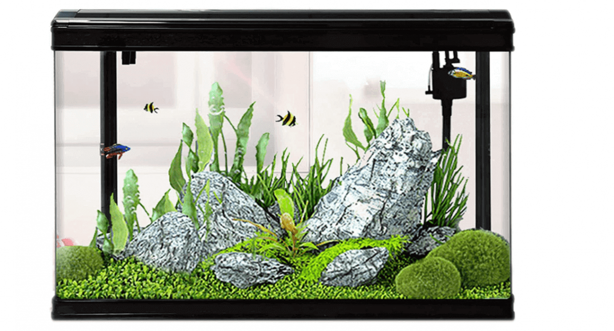 Galleria foto 'Acquario in casa: i migliori modelli per arredare un soggiorno di lusso' - foto 2