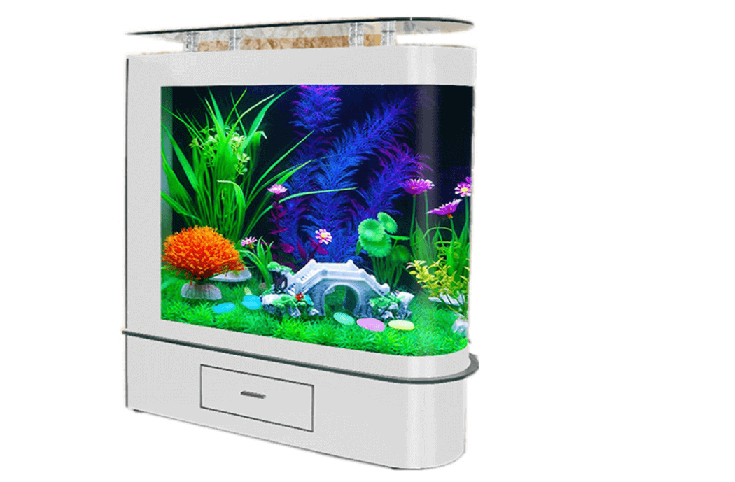 Galleria foto 'Acquario in casa: i migliori modelli per arredare un soggiorno di lusso' - foto 4