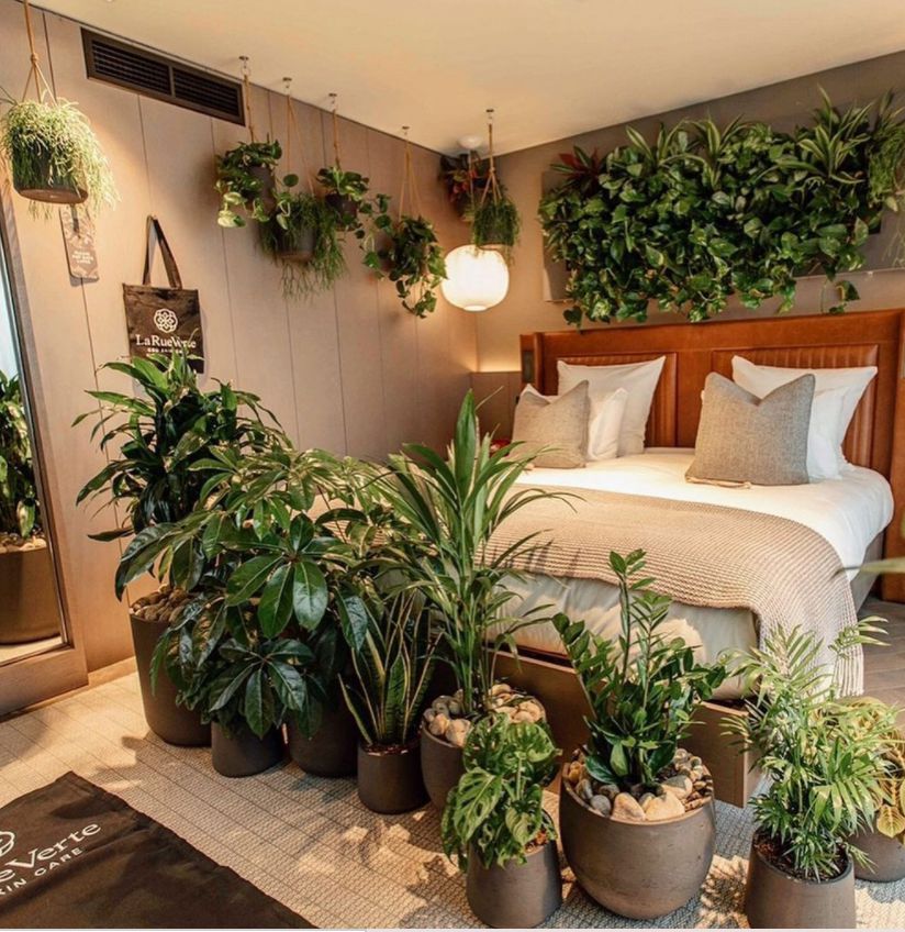 Galleria foto 'Forest bathing di lusso: un hotel per dormire nella natura' - foto 2