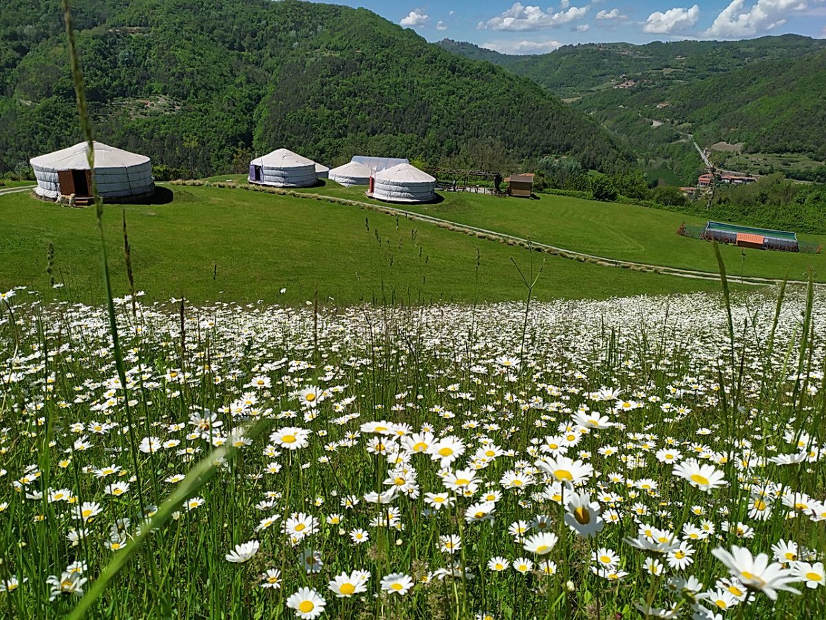 Galleria foto 'Glamping di Lusso: la Top 5 italiana dei campeggi a 5 stelle' - foto 3