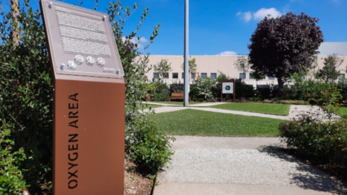 Galleria foto 'Volkswagen Group Italia sempre più green grazie alla Oxygen Area' - foto 3