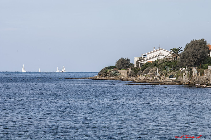 Galleria foto 'Paradisi del Surf: le 7 migliori Spiagge del Mondo per cavalcare l’onda!' - foto 3