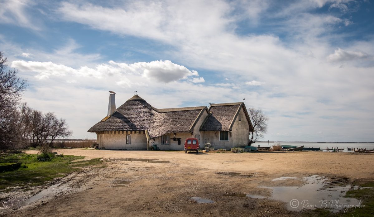 Galleria foto 'La Camargue, la Francia che rapisce il cuore: 7 attrazioni uniche di questa splendida terra!' - foto 8