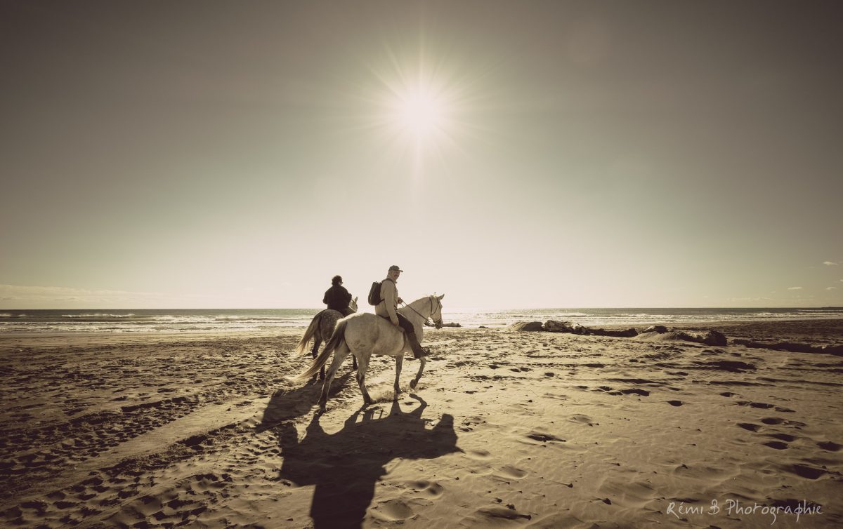 Galleria foto 'La Camargue, la Francia che rapisce il cuore: 7 attrazioni uniche di questa splendida terra!' - foto 5