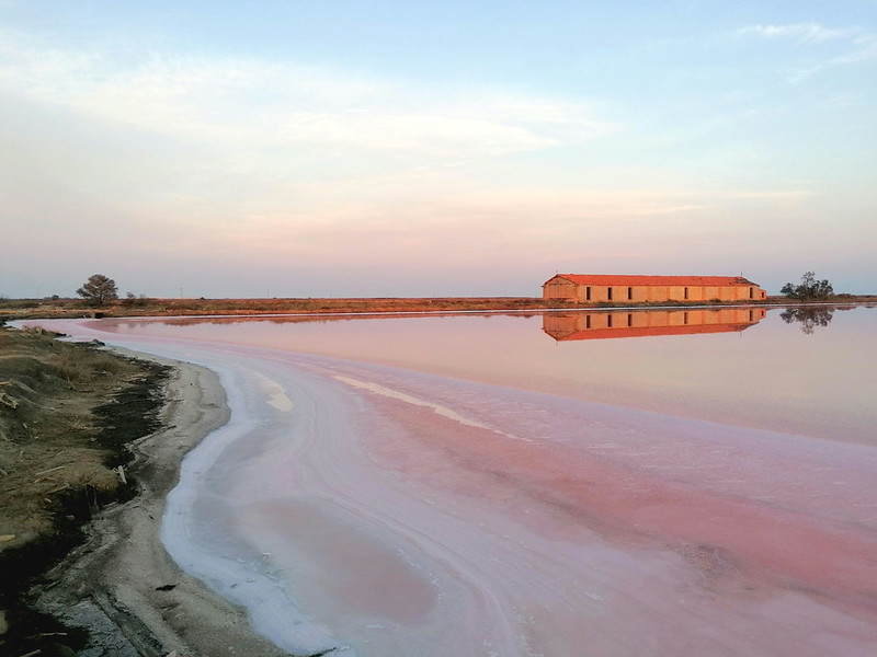 Galleria foto 'La Camargue, la Francia che rapisce il cuore: 7 attrazioni uniche di questa splendida terra!' - foto 2
