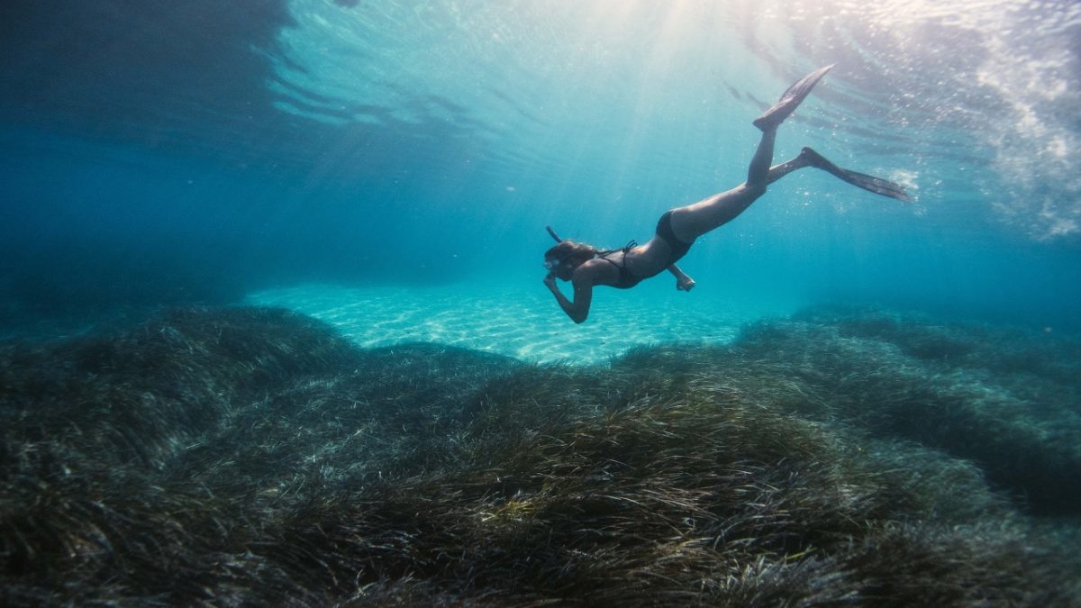 Snorkeling: 5 posti in Italia per fare immersioni da non lasciarsi assolutamente sfuggire!