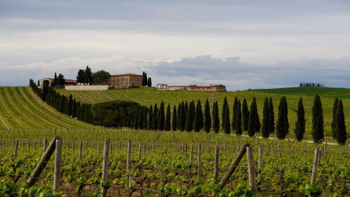 Soggiorno nei Vigneti più belli d’Italia: Ecco i 4 migliori Resort del Vino nel Bel Paese