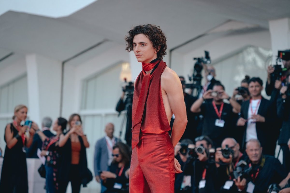 Galleria foto 'Timothée Chalamet, 26 anni e un patrimonio di 6 milioni' - foto 2