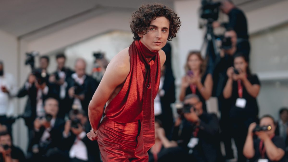 Galleria foto 'Timothée Chalamet, 26 anni e un patrimonio di 6 milioni' - foto 1