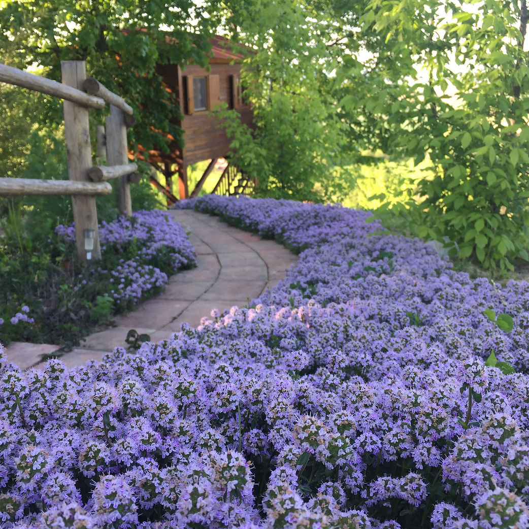 Galleria foto 'Foliage in Italia: 5 posti dove dormire per ammirare da vicino i colori dell’Autunno' - foto 3