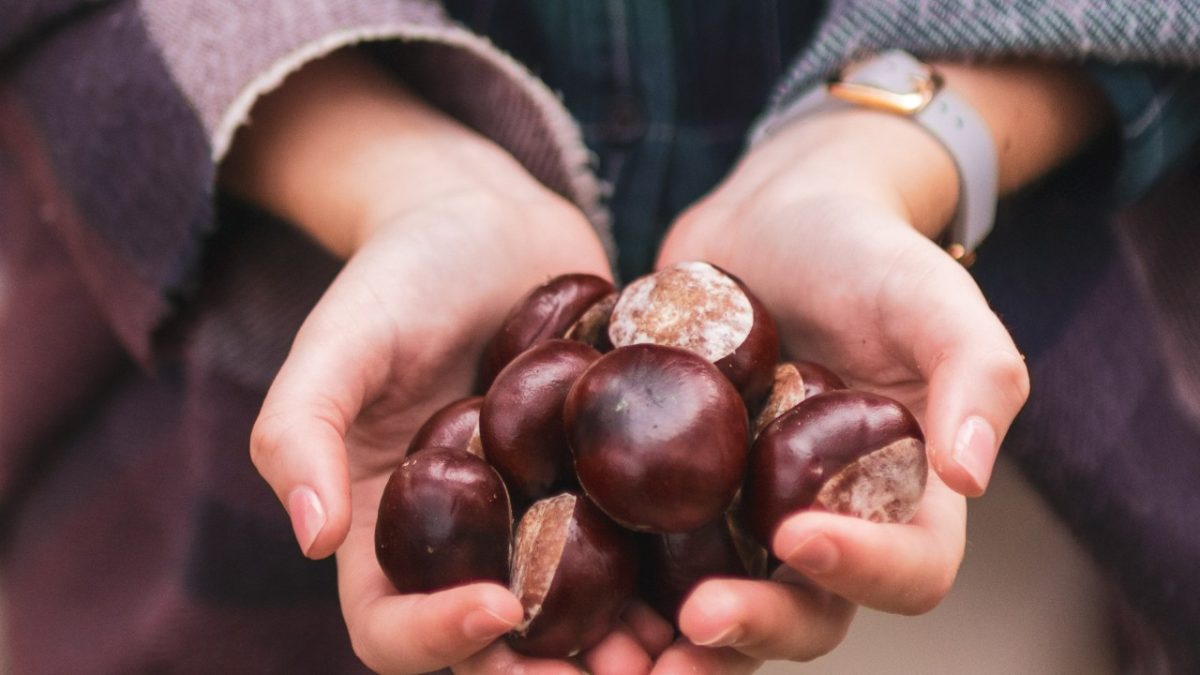 Profumi alle note di Castagna: 6 fragranze che scalderanno le tue giornate Autunnali!