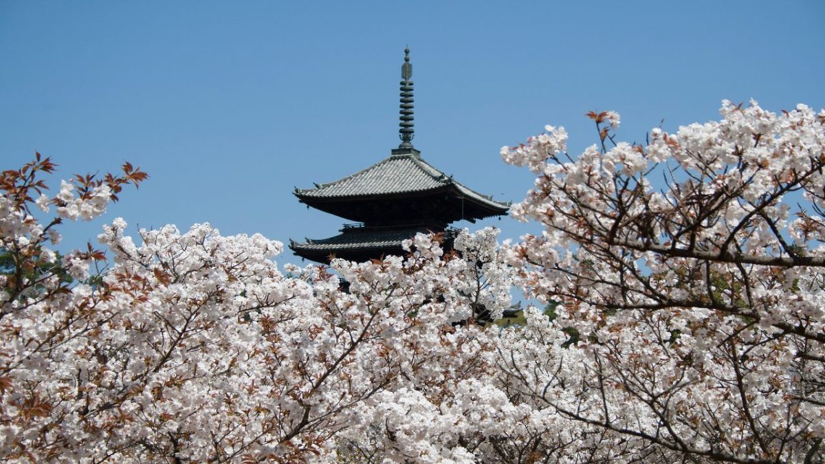 Giappone: 2 Città da visitare e Attrazioni uniche da non perdere assolutamente!