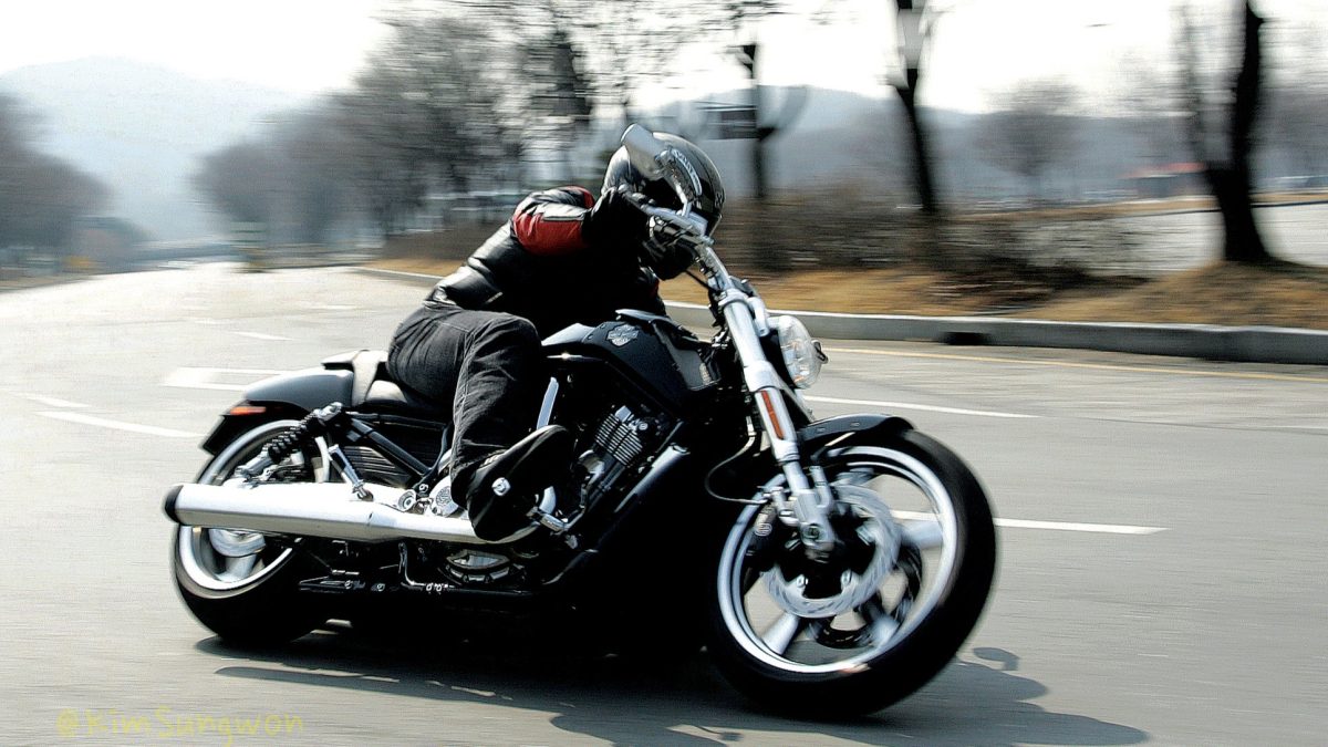 Galleria foto 'Le 5 Harley Davidson più amate e ricercate di Sempre. Ecco quali sono…' - foto 4